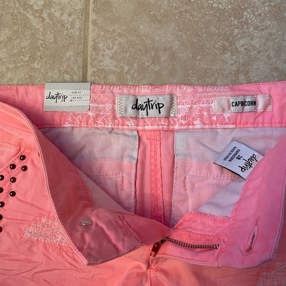 NEW Daytrip Shorts from Buckle - Picture 9 of 10